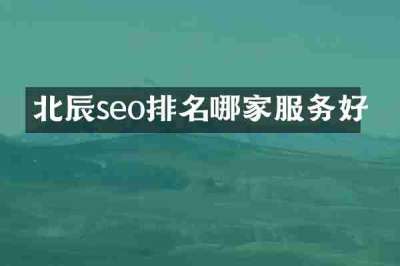 北辰seo排名哪家服务好