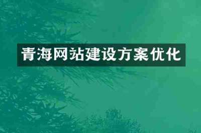 青海网站建设方案优化