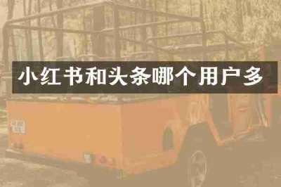 小红书和头条哪个用户多