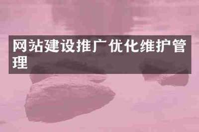 网站建设推广优化维护管理