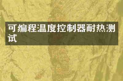 可编程温度控制器耐热测试