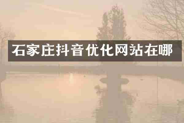 石家庄抖音优化网站在哪