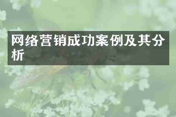 网络营销成功案例及其分析
