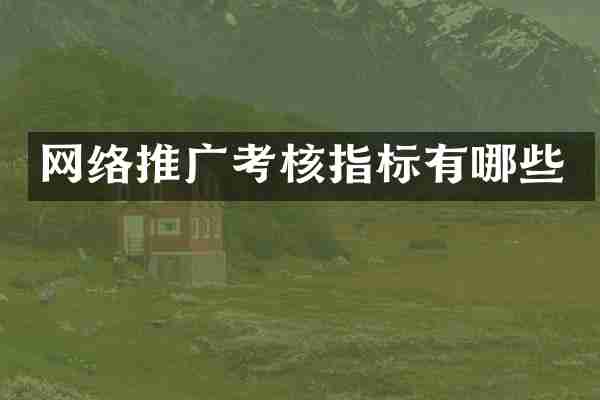 网络推广考核指标有哪些