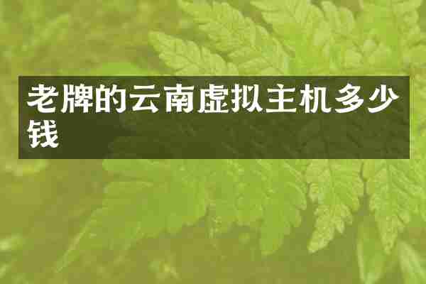 老牌的云南虚拟主机多少钱