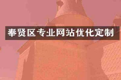 奉贤区专业网站优化定制