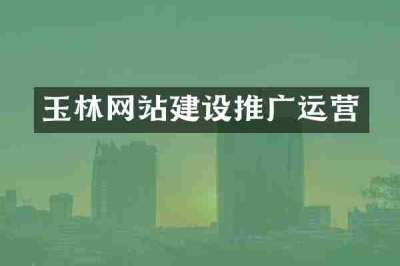 玉林网站建设推广运营