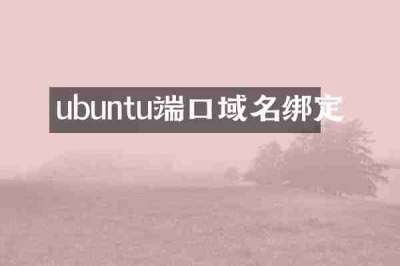ubuntu端口域名绑定