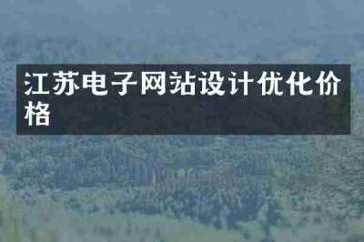 江苏电子网站设计优化价格