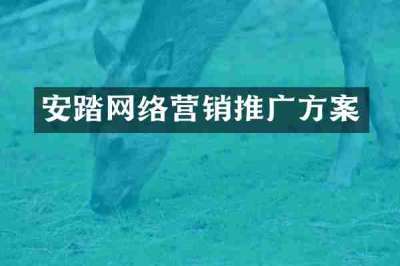 安踏网络营销推广方案