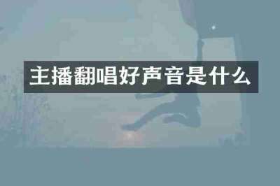 主播翻唱好声音是什么