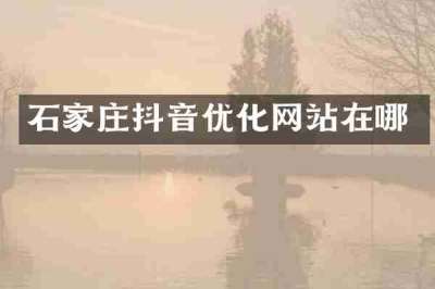 石家庄抖音优化网站在哪