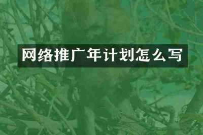 网络推广年计划怎么写