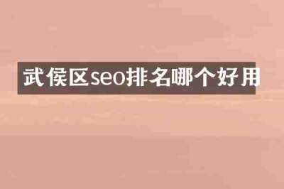 武侯区seo排名哪个好用