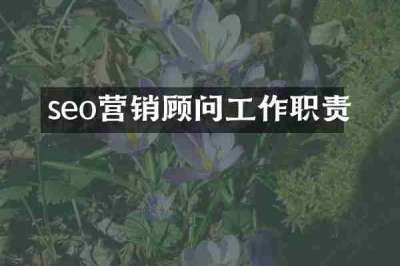 seo营销顾问工作职责
