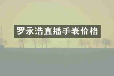 罗永浩直播手表价格