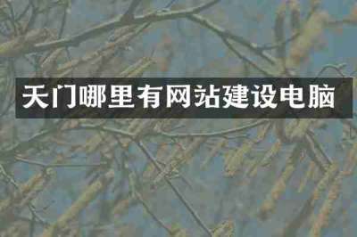 天门哪里有网站建设电脑