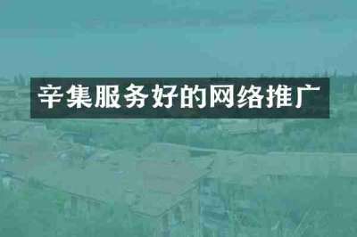 辛集服务好的网络推广