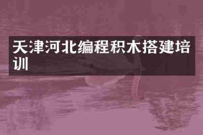 天津河北编程积木搭建培训