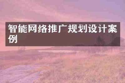 智能网络推广规划设计案例
