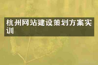 杭州网站建设策划方案实训