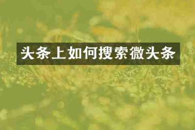 头条上如何搜索微头条