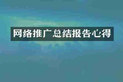网络推广总结报告心得
