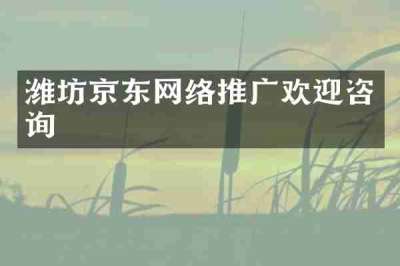 潍坊京东网络推广欢迎咨询