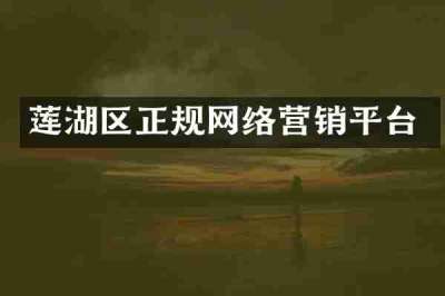 莲湖区正规网络营销平台