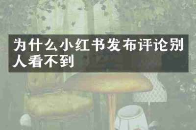 为什么小红书发布评论别人看不到