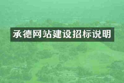 承德网站建设招标说明