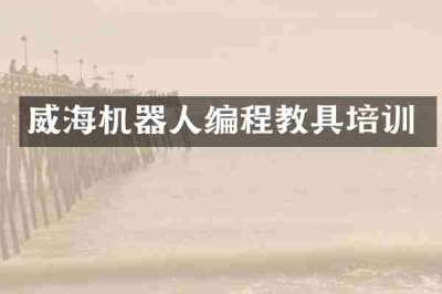 威海机器人编程教具培训