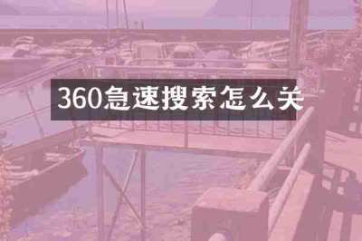 360急速搜索怎么关