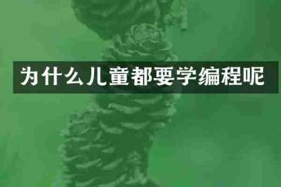 为什么儿童都要学编程呢