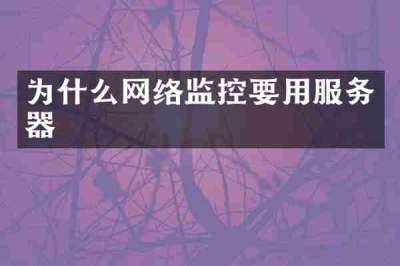 为什么网络监控要用服务器