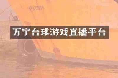 万宁台球游戏直播平台