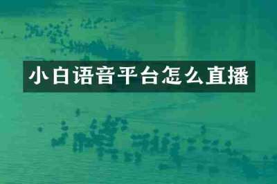 小白语音平台怎么直播