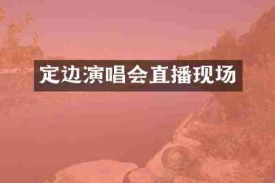 定边演唱会直播现场