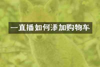 一直播如何添加购物车