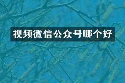 视频微信公众号哪个好