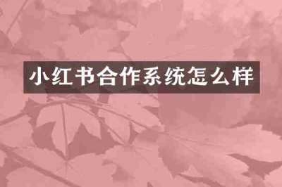 小红书合作系统怎么样