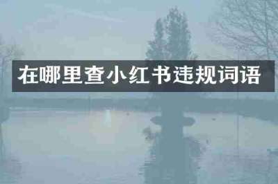 在哪里查小红书违规词语