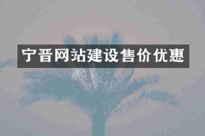 宁晋网站建设售价优惠