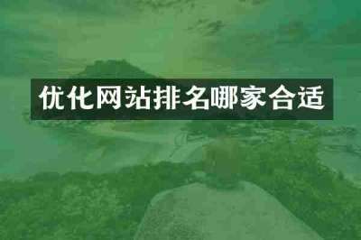 优化网站排名哪家合适