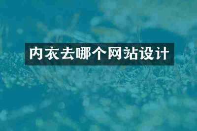 内衣去哪个网站设计