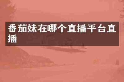 番茄妹在哪个直播平台直播