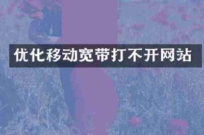 优化移动宽带打不开网站