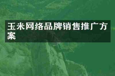 玉米网络品牌销售推广方案