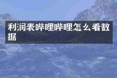 利润表哔哩哔哩怎么看数据