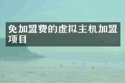 免加盟费的虚拟主机加盟项目